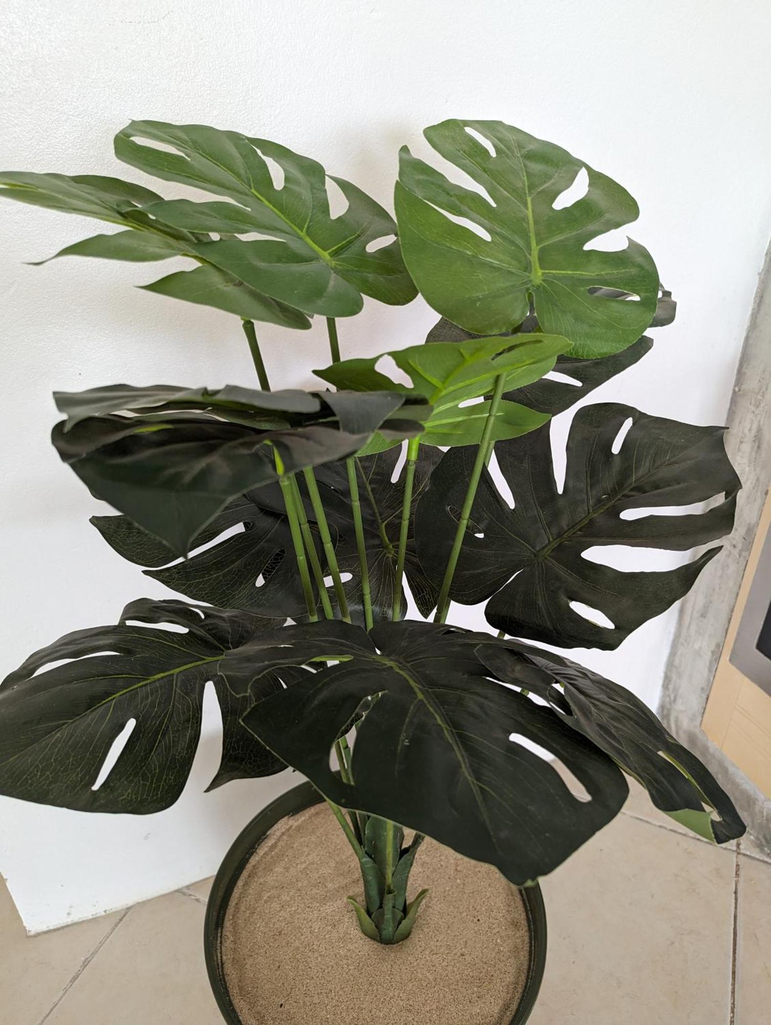 Tropical Leaves Sea View Penthouse Ca Greta 2 Floor Apartment Sal Rei Bagian luar foto